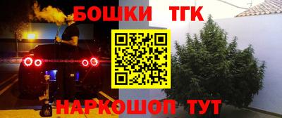 индика Изобильный