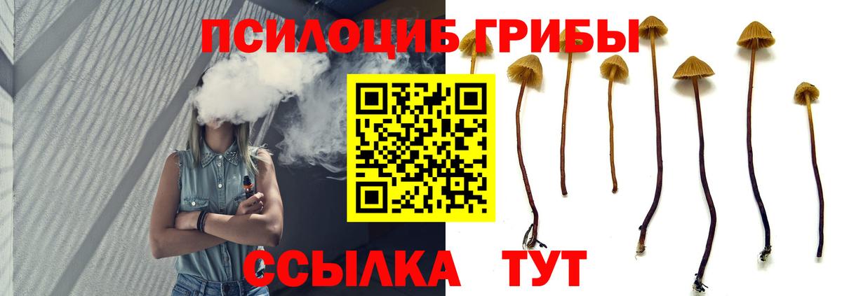 Галлюциногенные грибы прущие грибы Магнитогорск